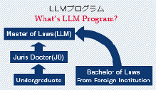 LLMプログラム